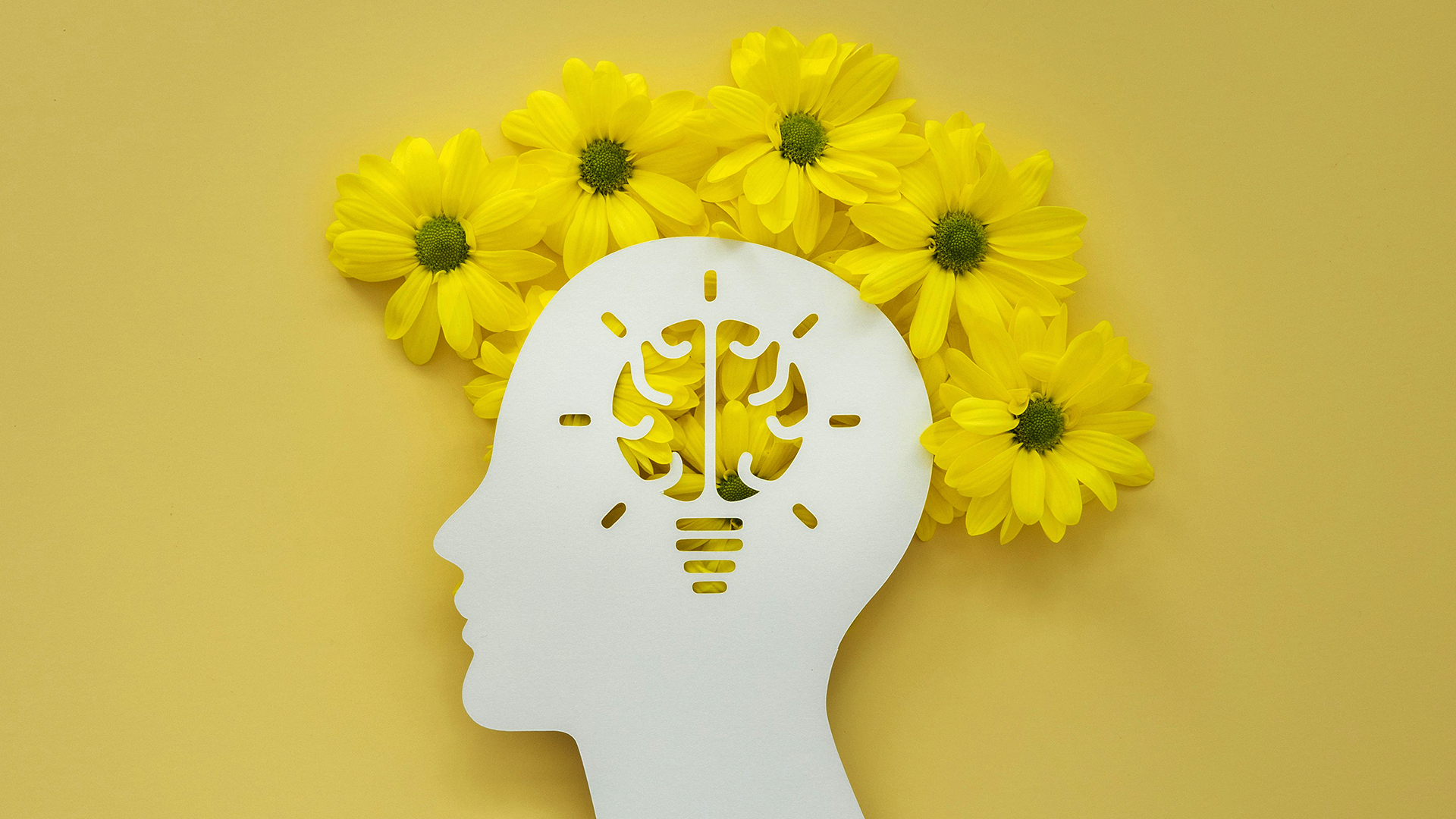 MAIA | Modules d'Apprentissage Interactifs Augmentés